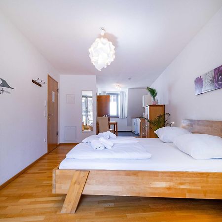 Altstadtloft Am Martinstor Freiburg im Breisgau Buitenkant foto